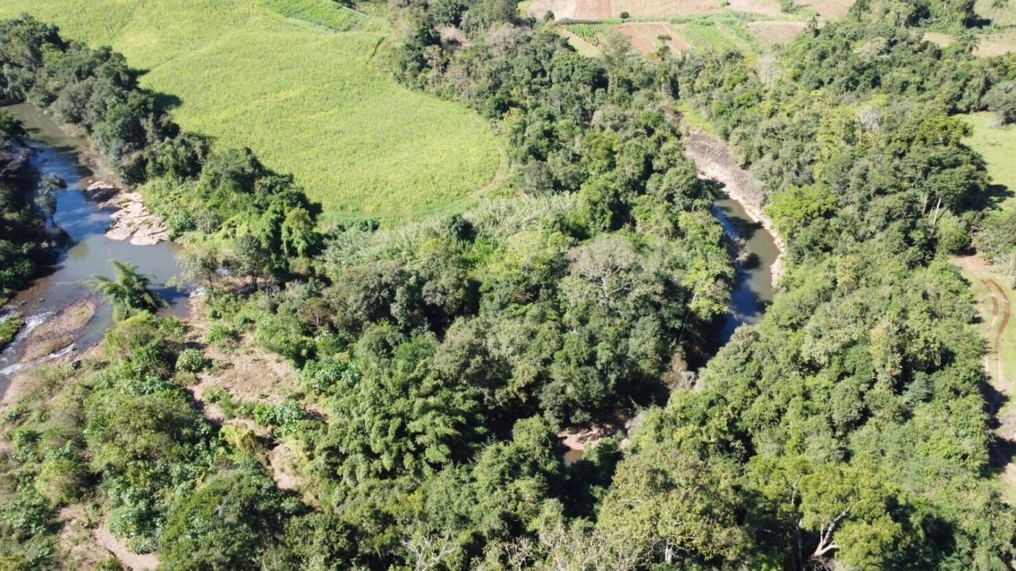 Fazenda à venda com 3 quartos, 50400m² - Foto 23