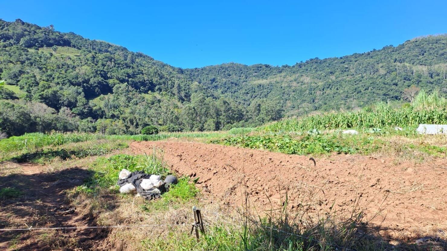 Fazenda à venda com 3 quartos, 50400m² - Foto 24