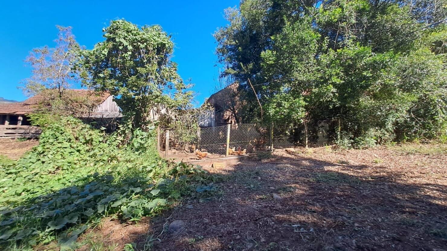Fazenda à venda com 3 quartos, 50400m² - Foto 25