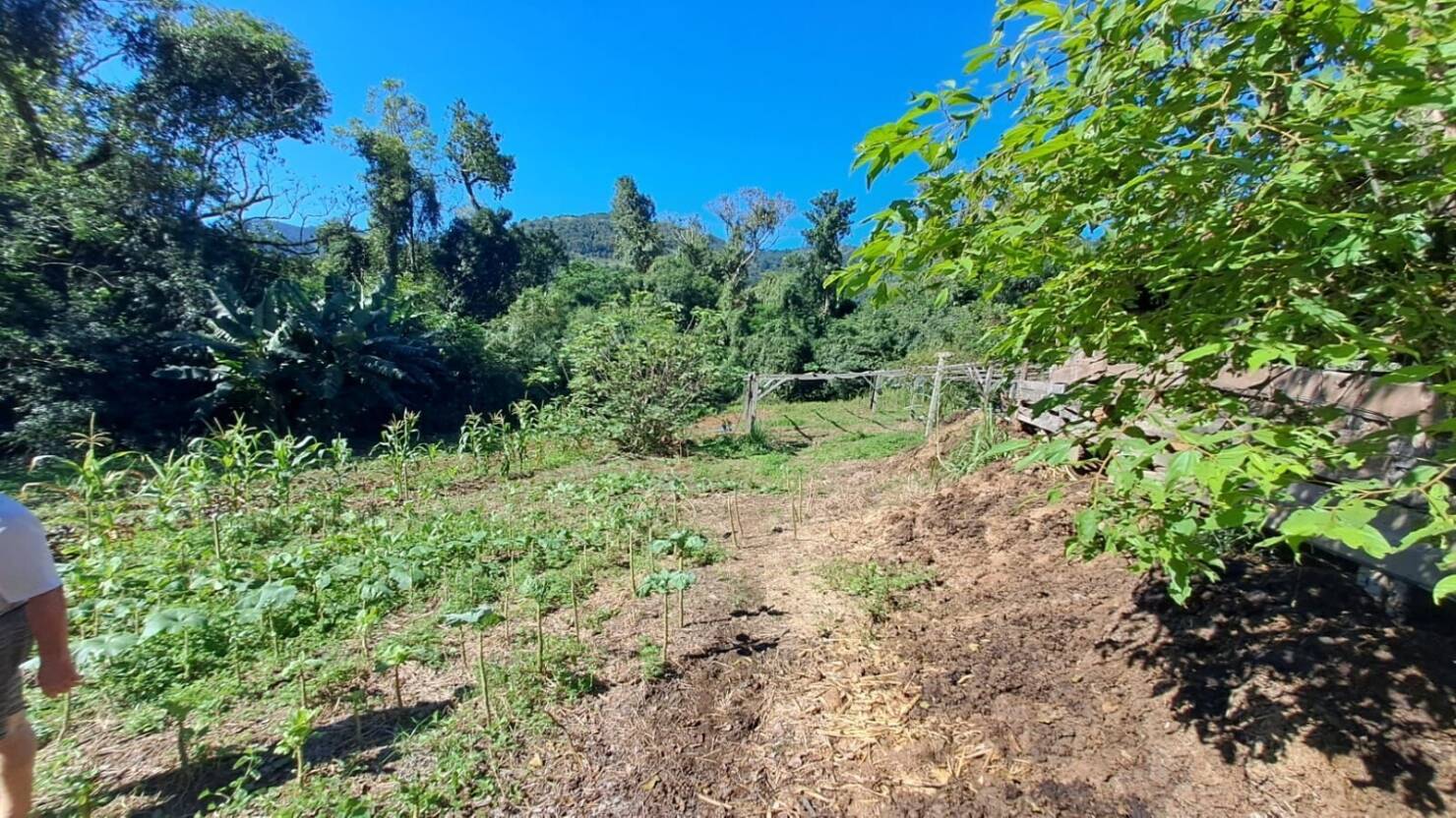 Fazenda à venda com 3 quartos, 50400m² - Foto 26