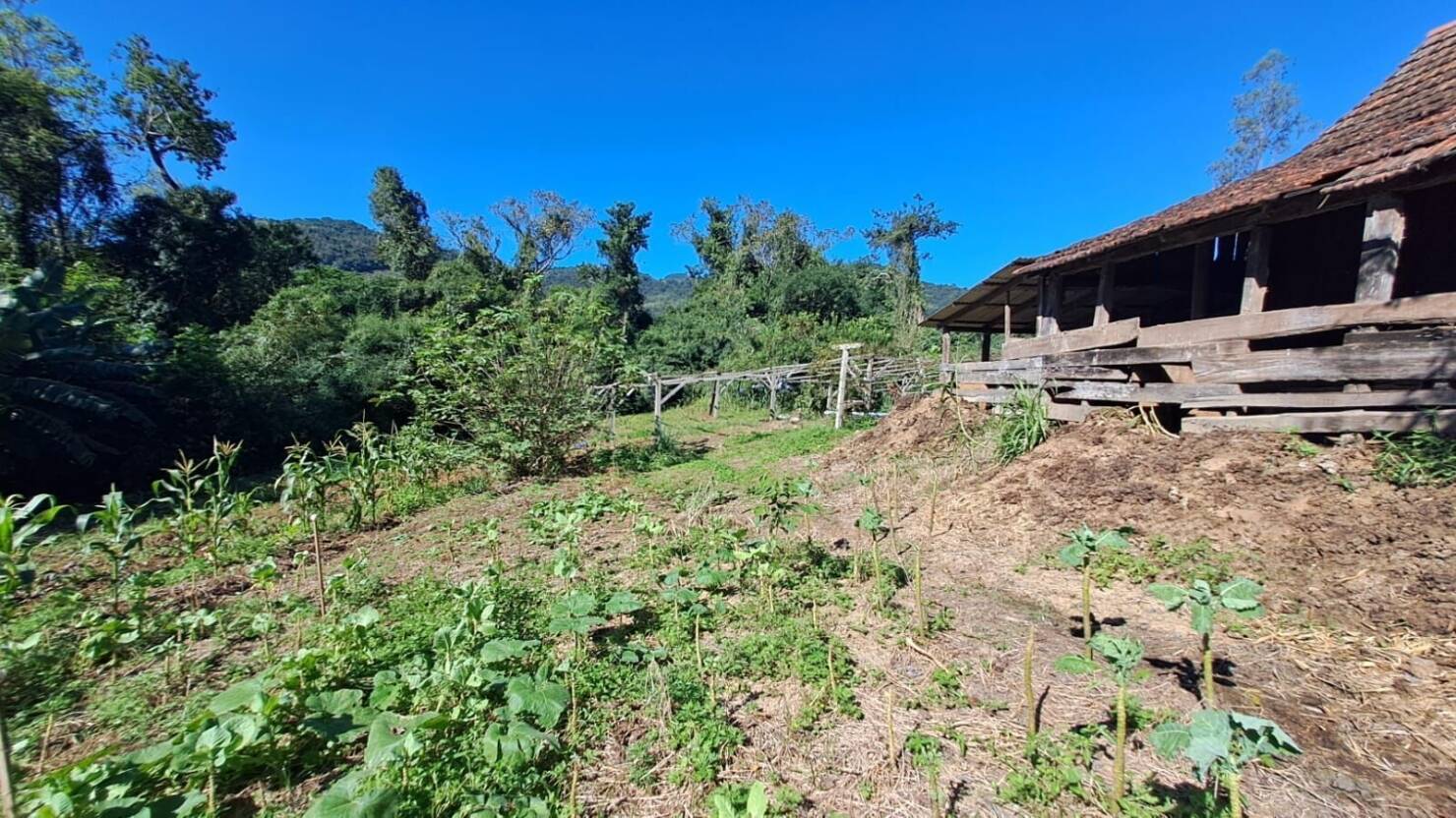 Fazenda à venda com 3 quartos, 50400m² - Foto 1
