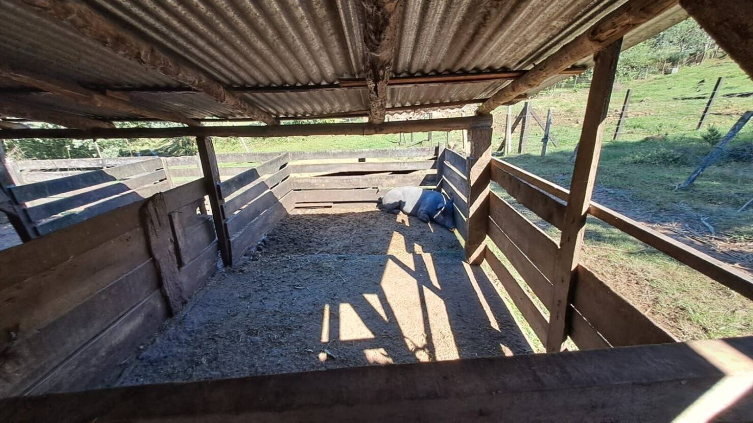 Fazenda à venda com 3 quartos, 50400m² - Foto 3