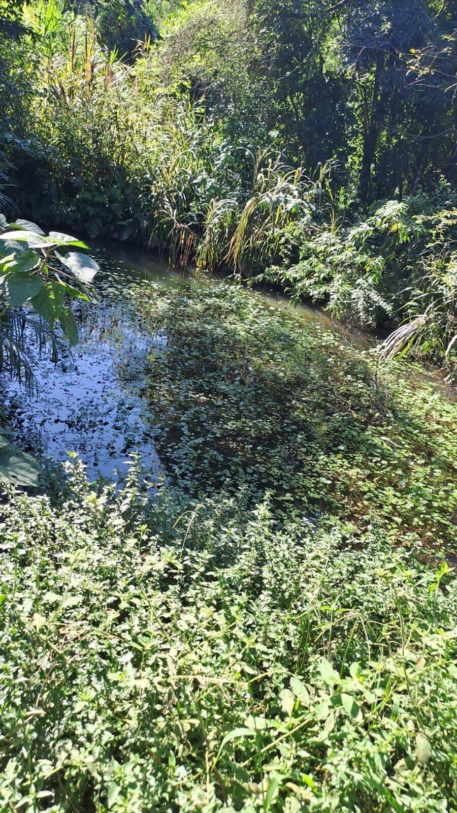 Fazenda à venda com 3 quartos, 50400m² - Foto 28