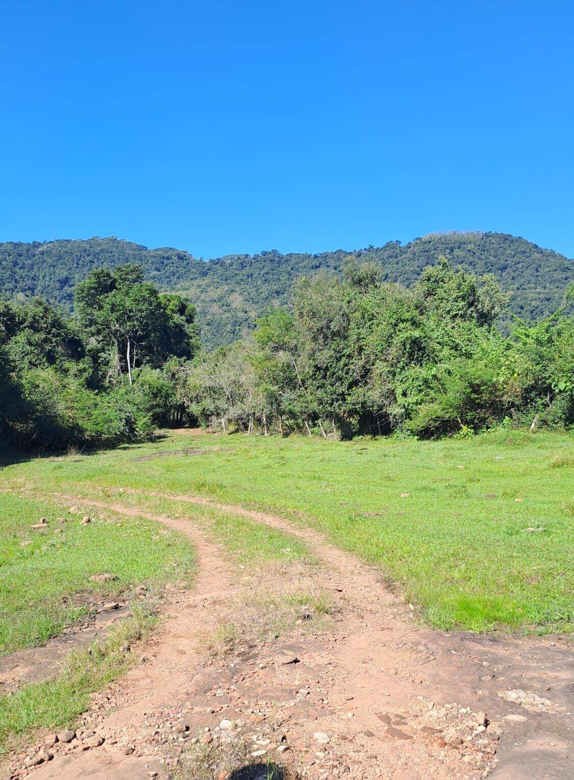 Fazenda à venda com 3 quartos, 50400m² - Foto 29