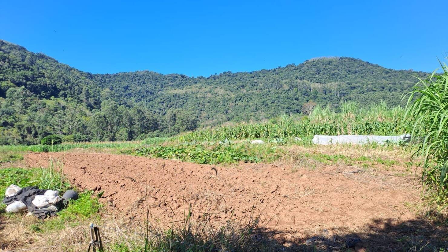 Fazenda à venda com 3 quartos, 50400m² - Foto 31