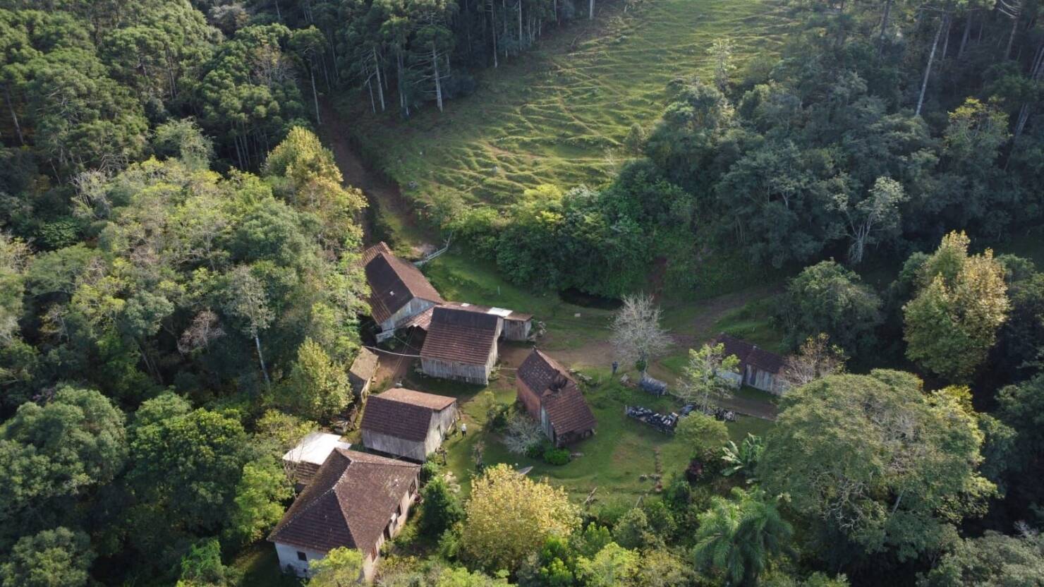 Fazenda à venda com 3 quartos, 16800m² - Foto 2