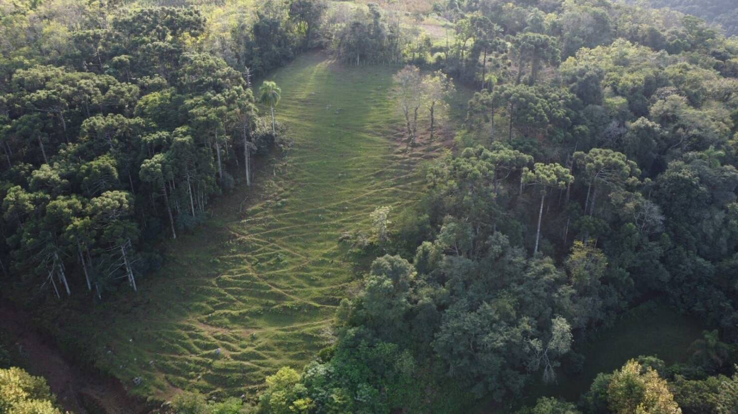 Fazenda à venda com 3 quartos, 16800m² - Foto 11