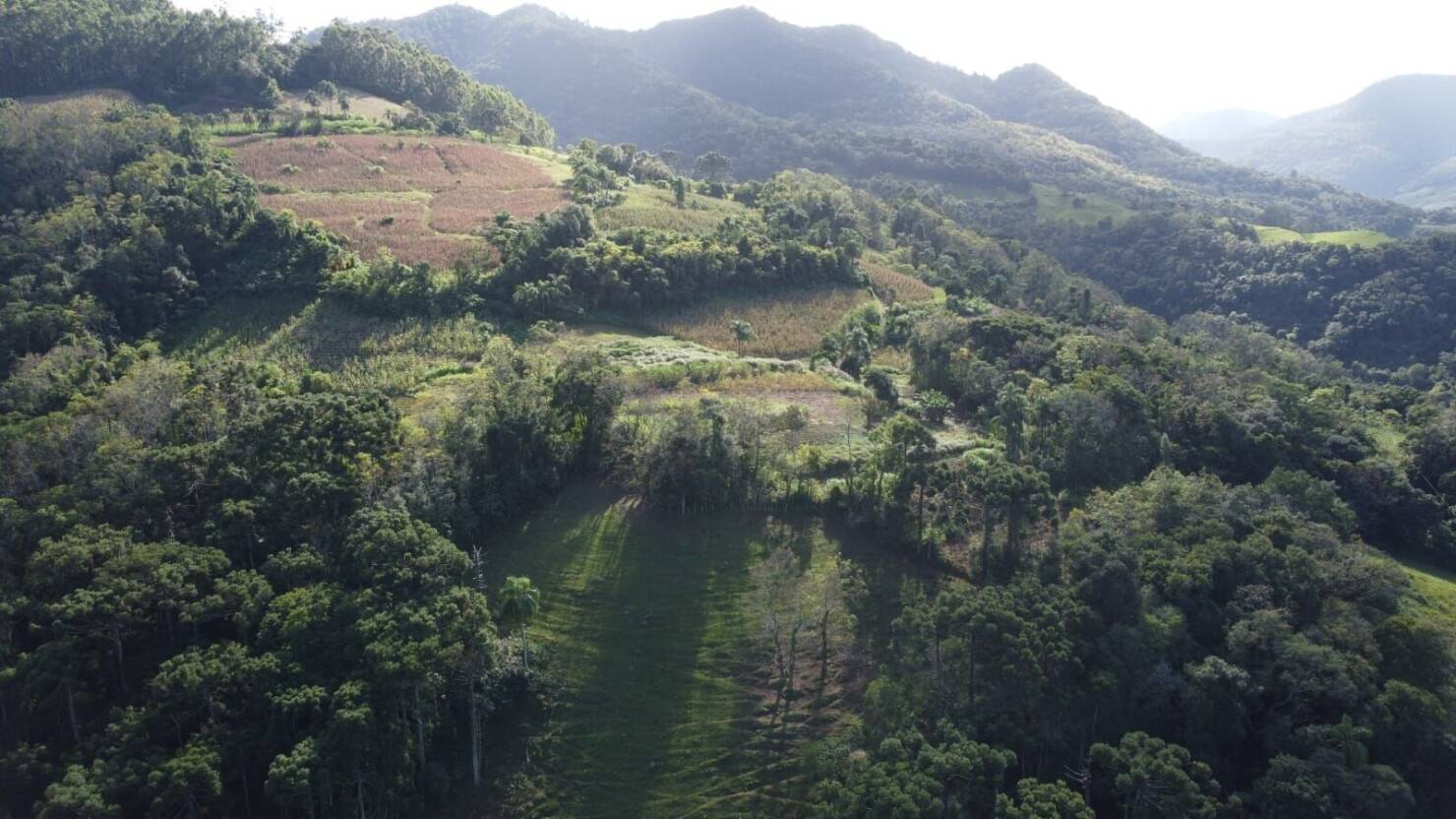 Fazenda à venda com 3 quartos, 16800m² - Foto 12
