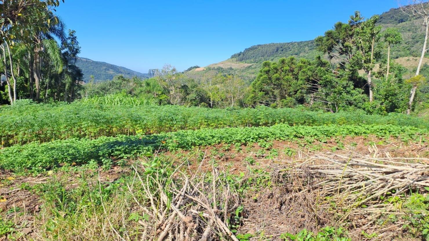 Fazenda à venda com 3 quartos, 16800m² - Foto 13