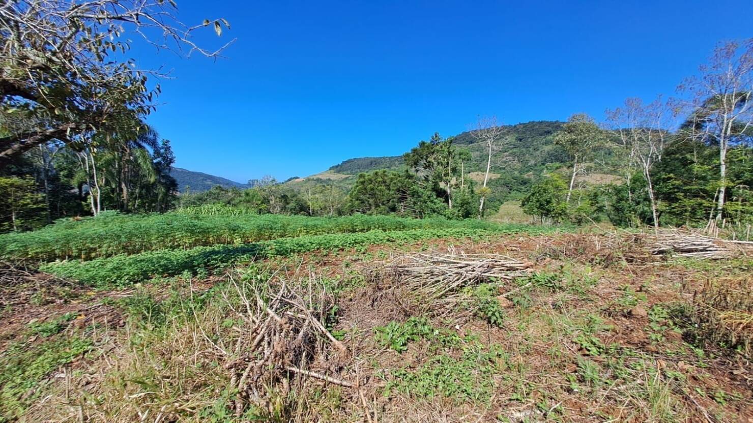 Fazenda à venda com 3 quartos, 16800m² - Foto 14
