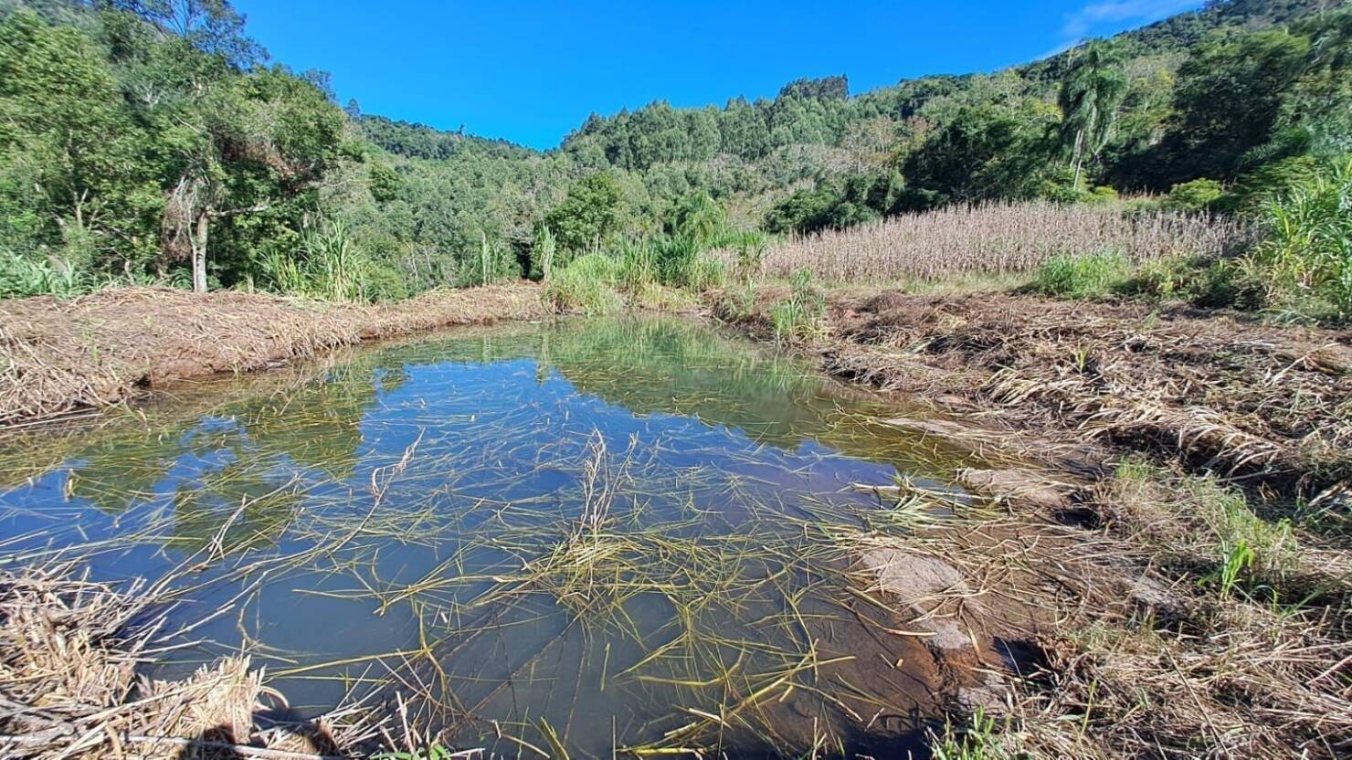 Fazenda à venda com 3 quartos, 16800m² - Foto 16