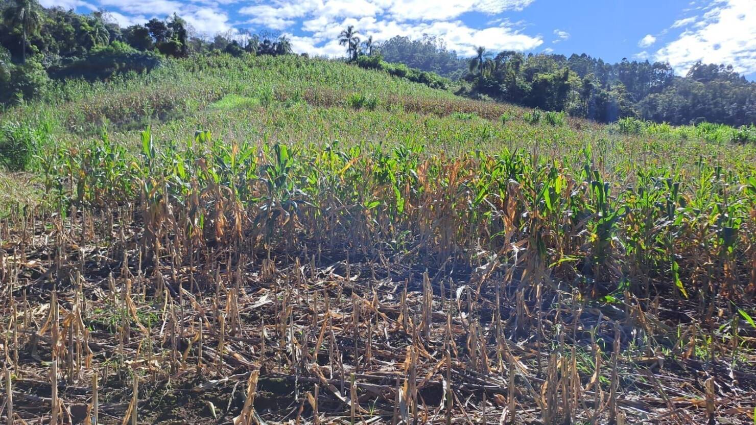 Fazenda à venda com 3 quartos, 16800m² - Foto 17