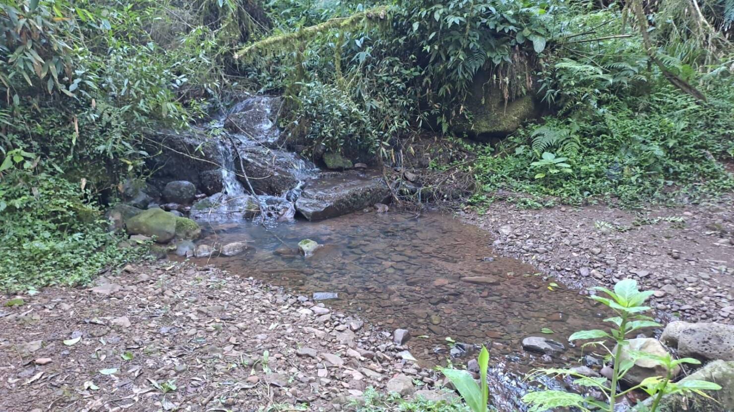 Fazenda à venda com 3 quartos, 16800m² - Foto 18