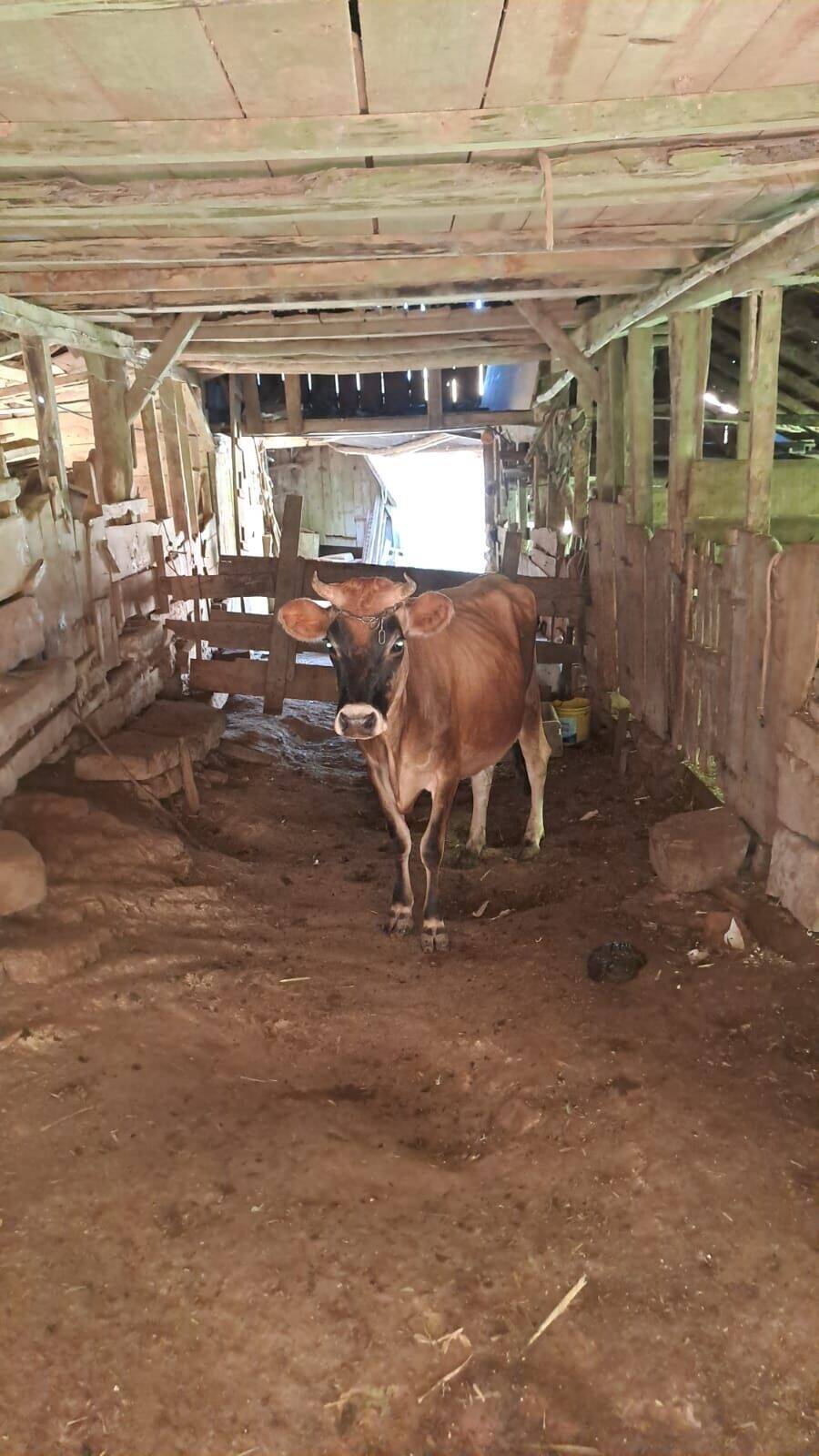Fazenda à venda com 3 quartos, 16800m² - Foto 25
