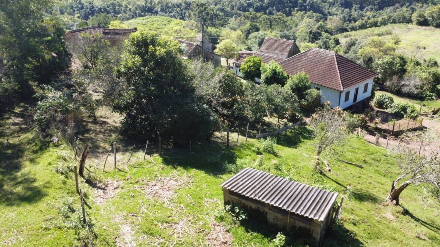 Fazenda, 20 hectares - Foto 6