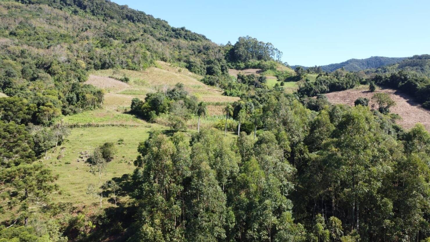 Fazenda, 20 hectares - Foto 2