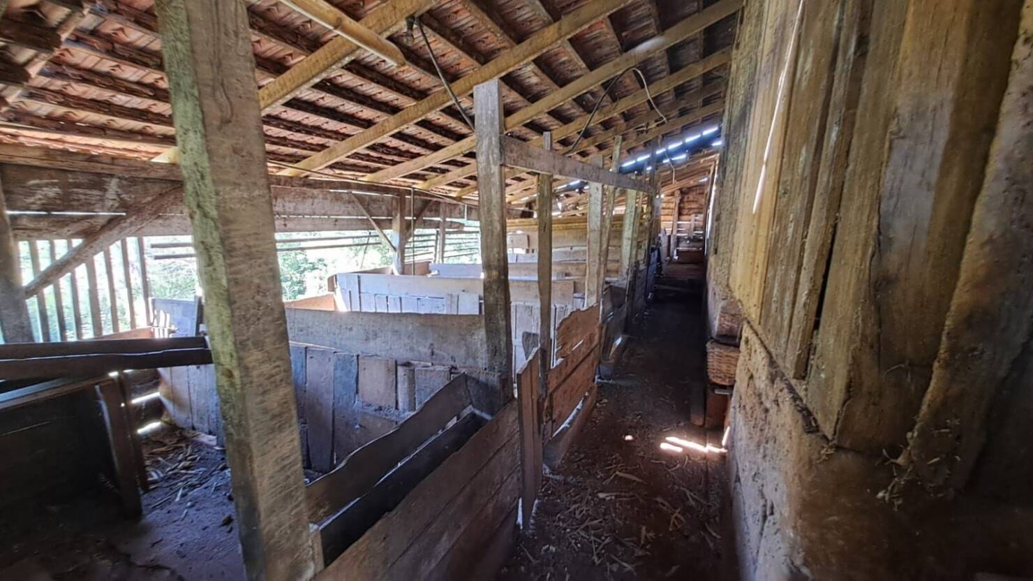 Fazenda, 20 hectares - Foto 11