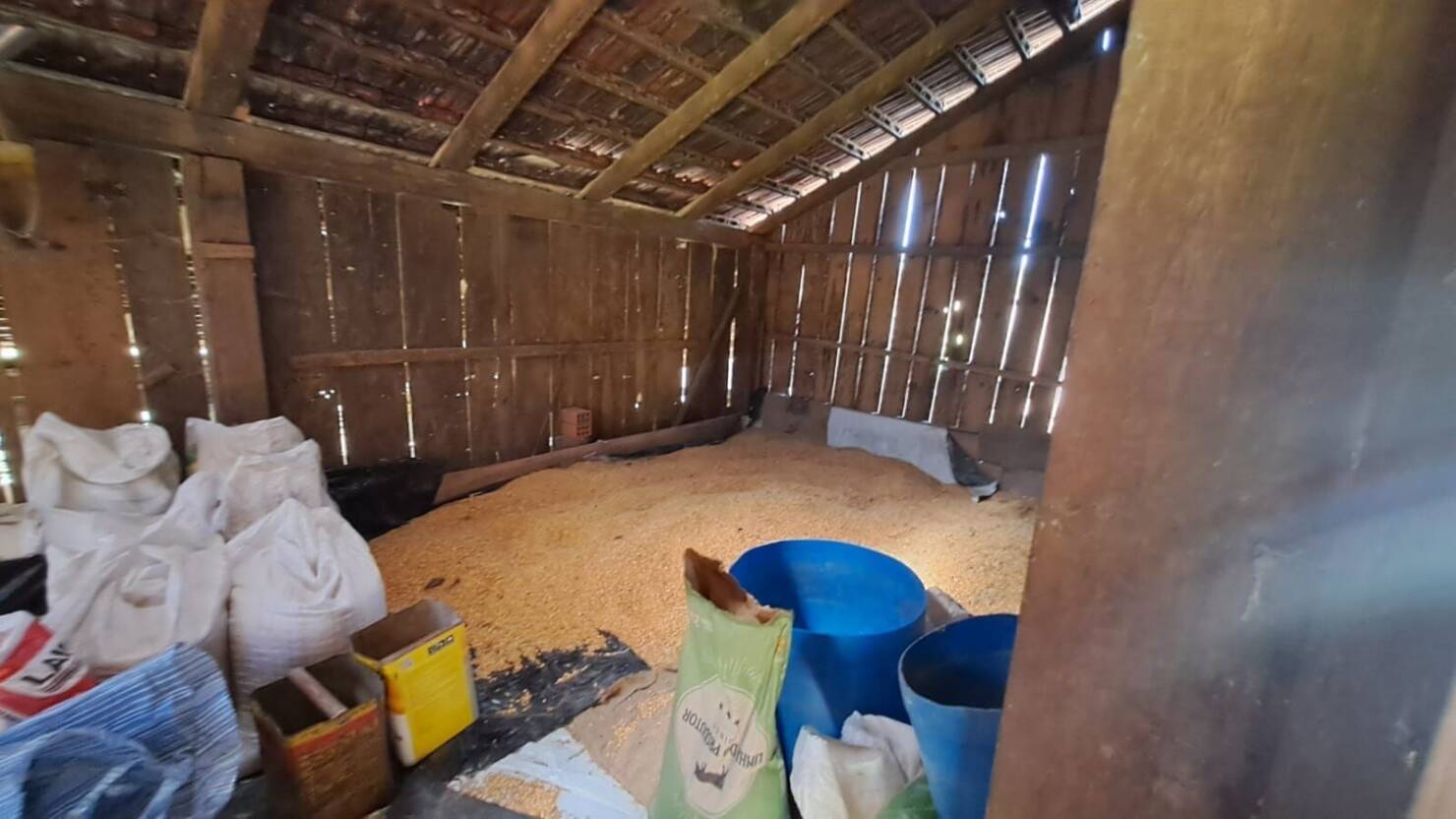 Fazenda, 20 hectares - Foto 1