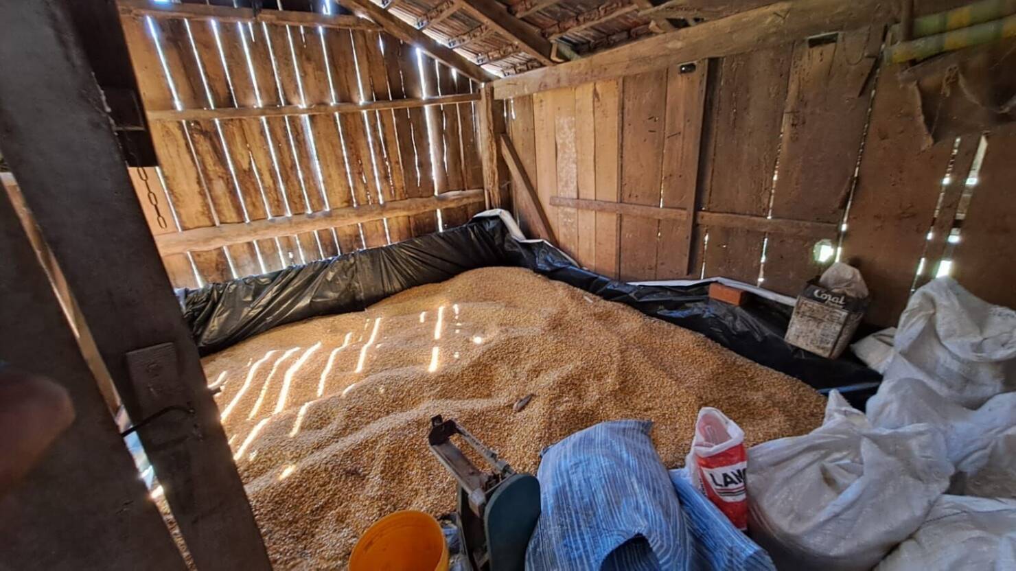 Fazenda, 20 hectares - Foto 15