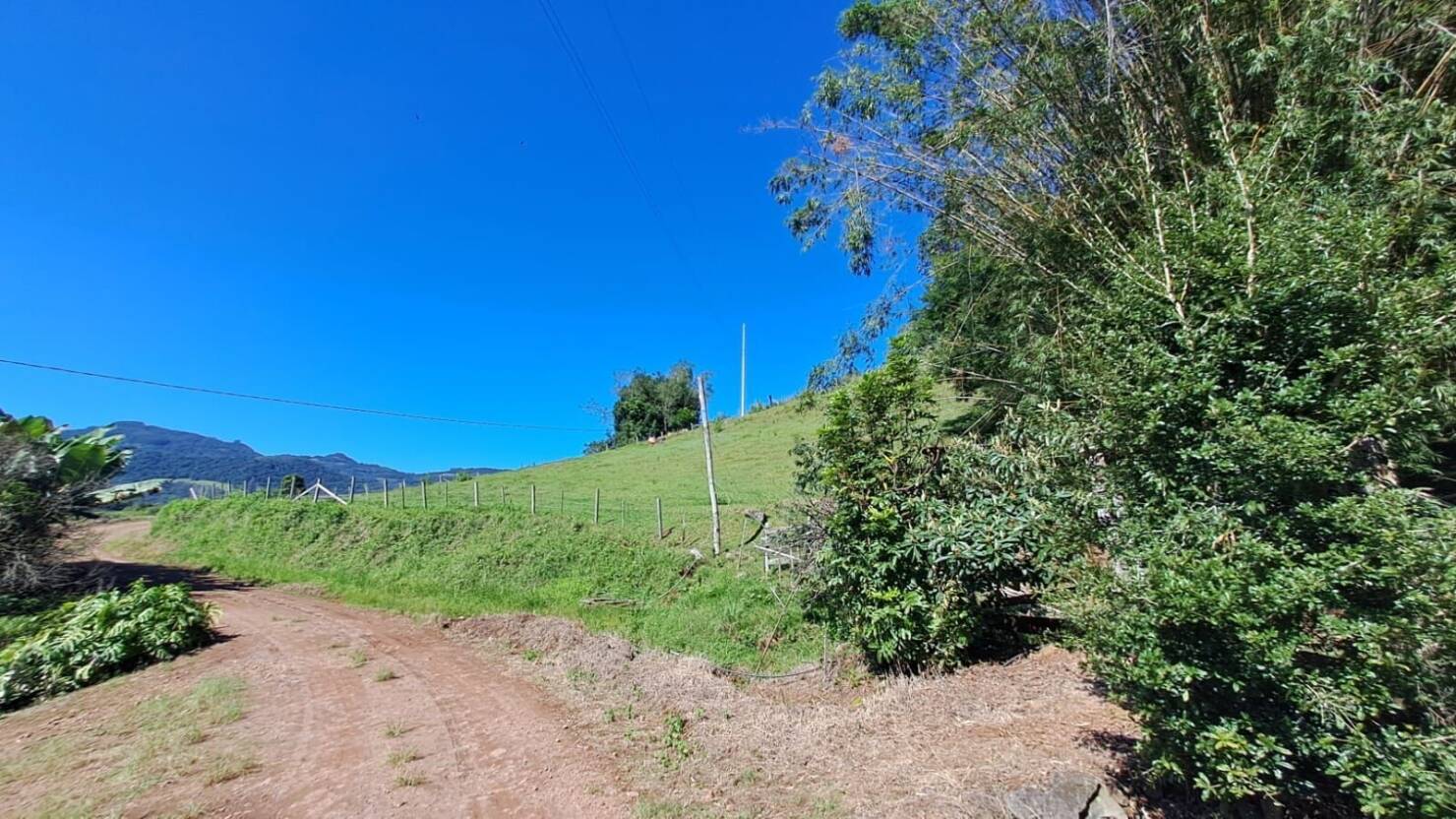 Fazenda, 20 hectares - Foto 28