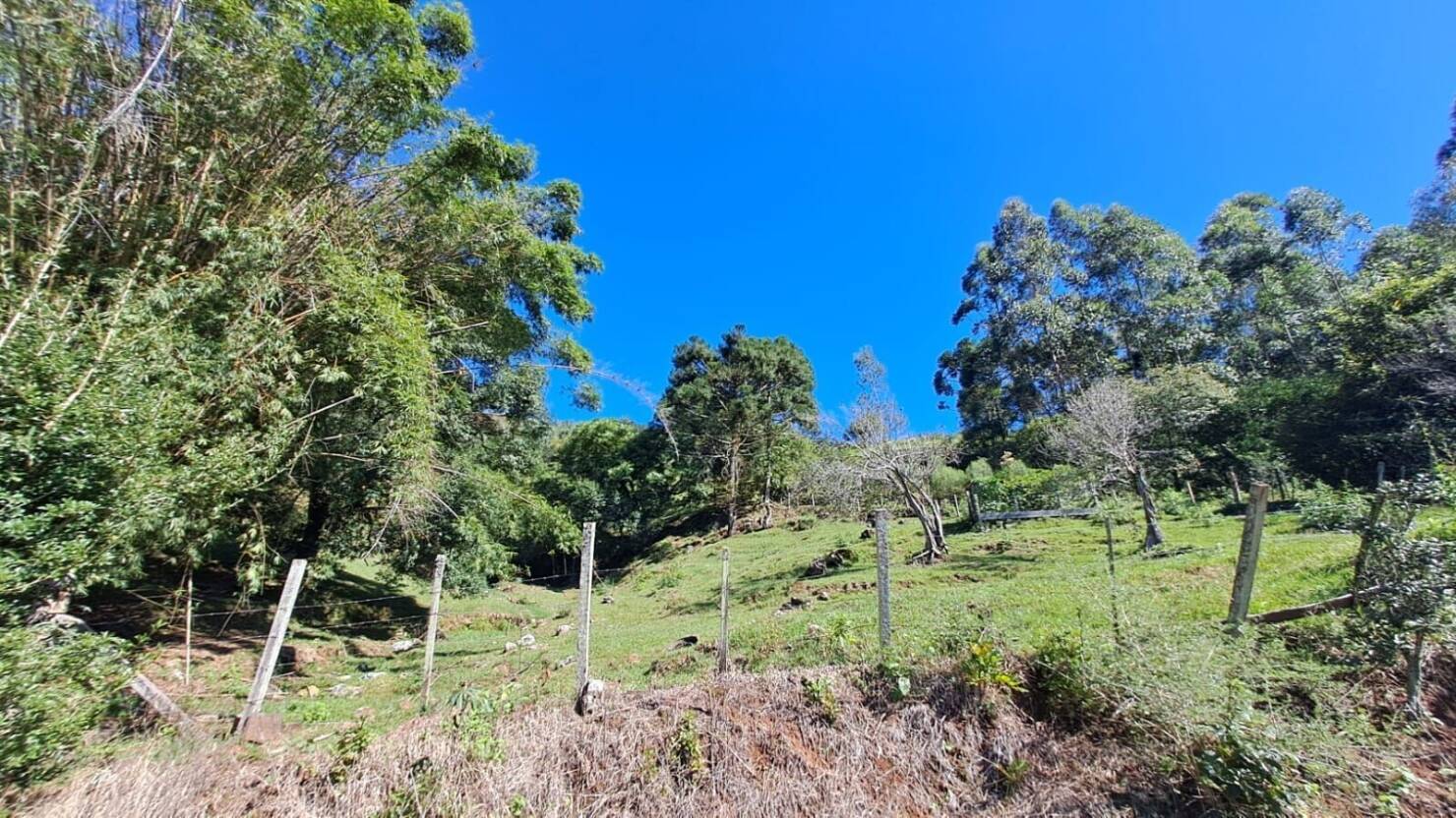 Fazenda, 20 hectares - Foto 29