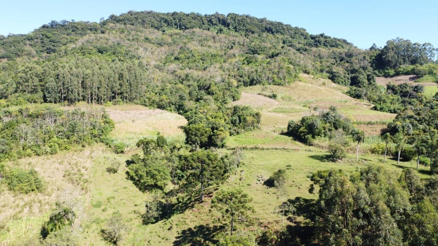 Fazenda, 20 hectares - Foto 32