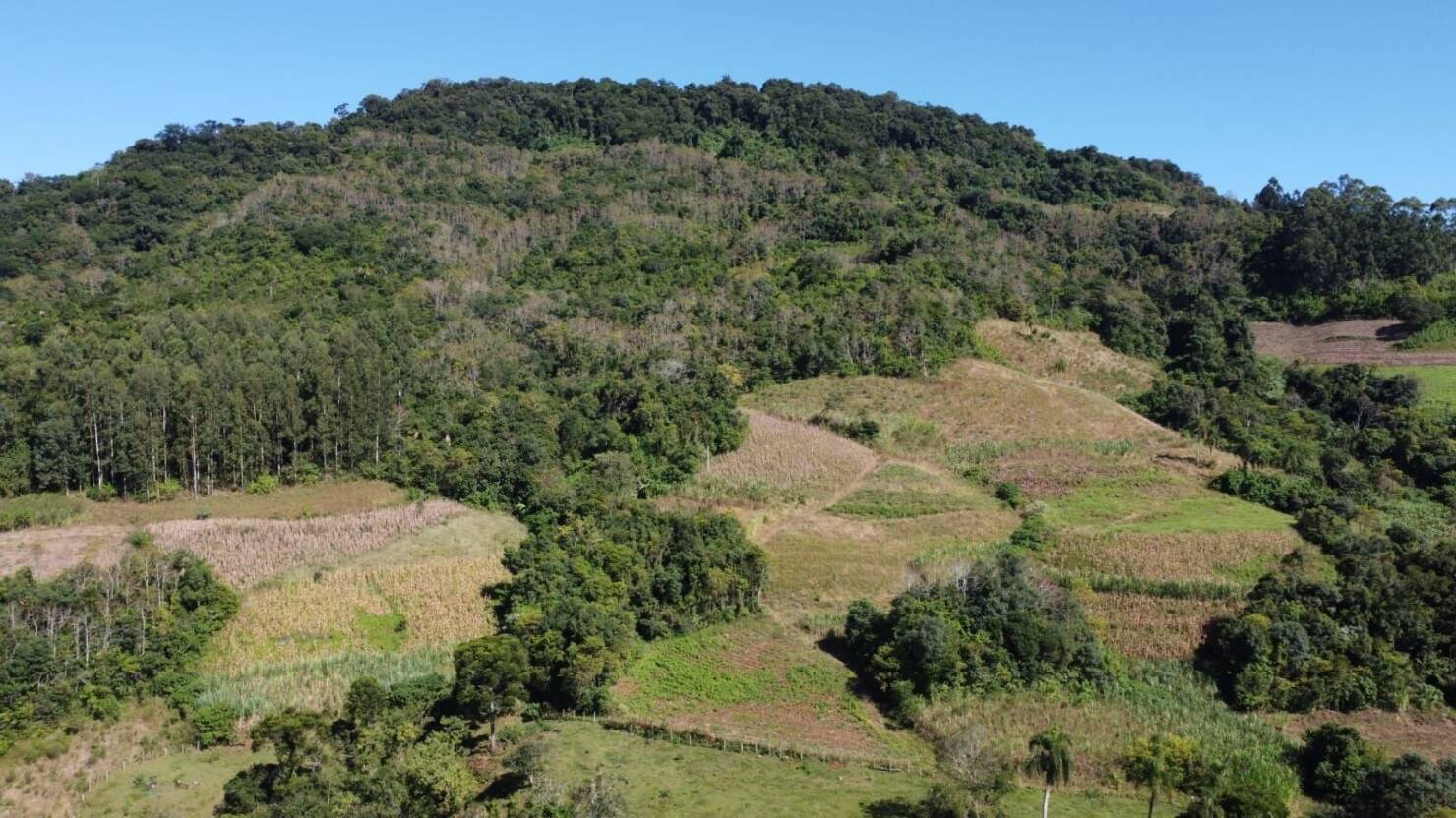 Fazenda, 20 hectares - Foto 33