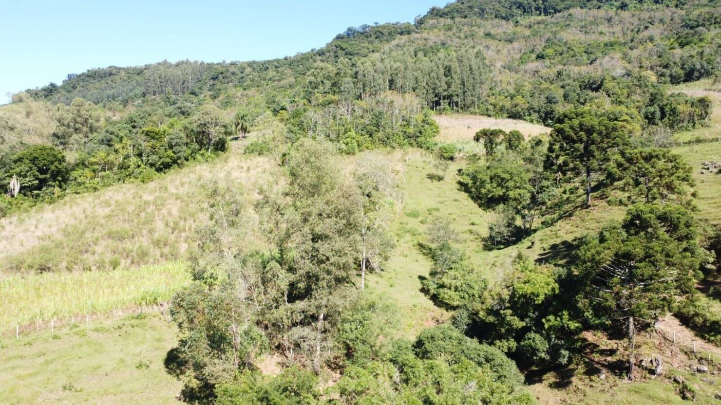 Fazenda, 20 hectares - Foto 34