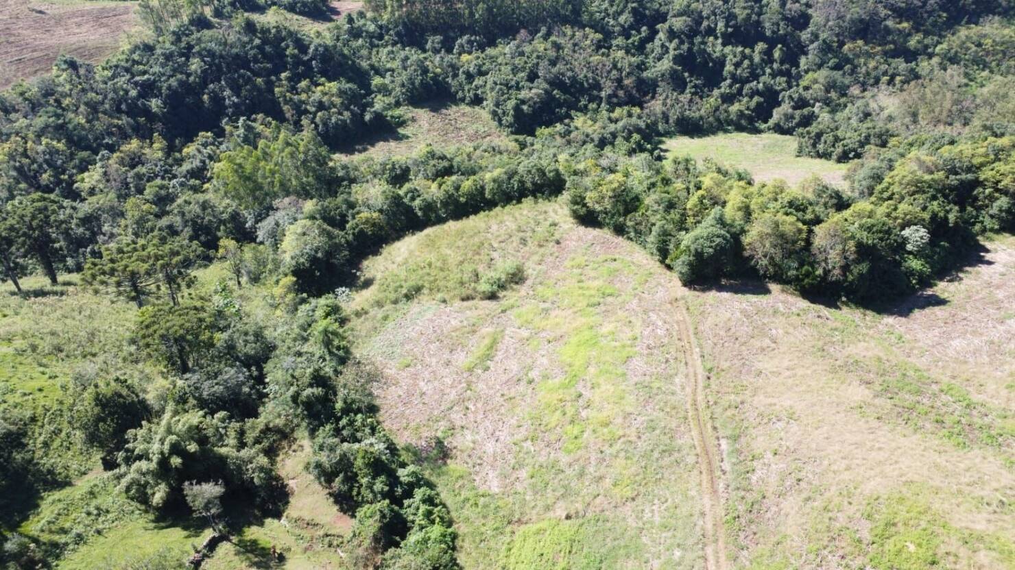 Fazenda, 20 hectares - Foto 35