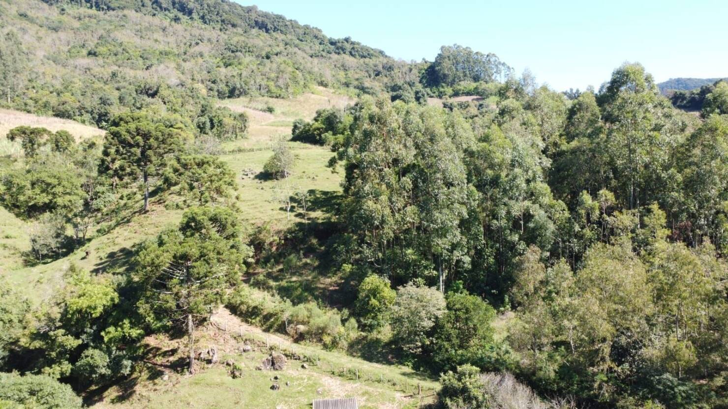 Fazenda, 20 hectares - Foto 37