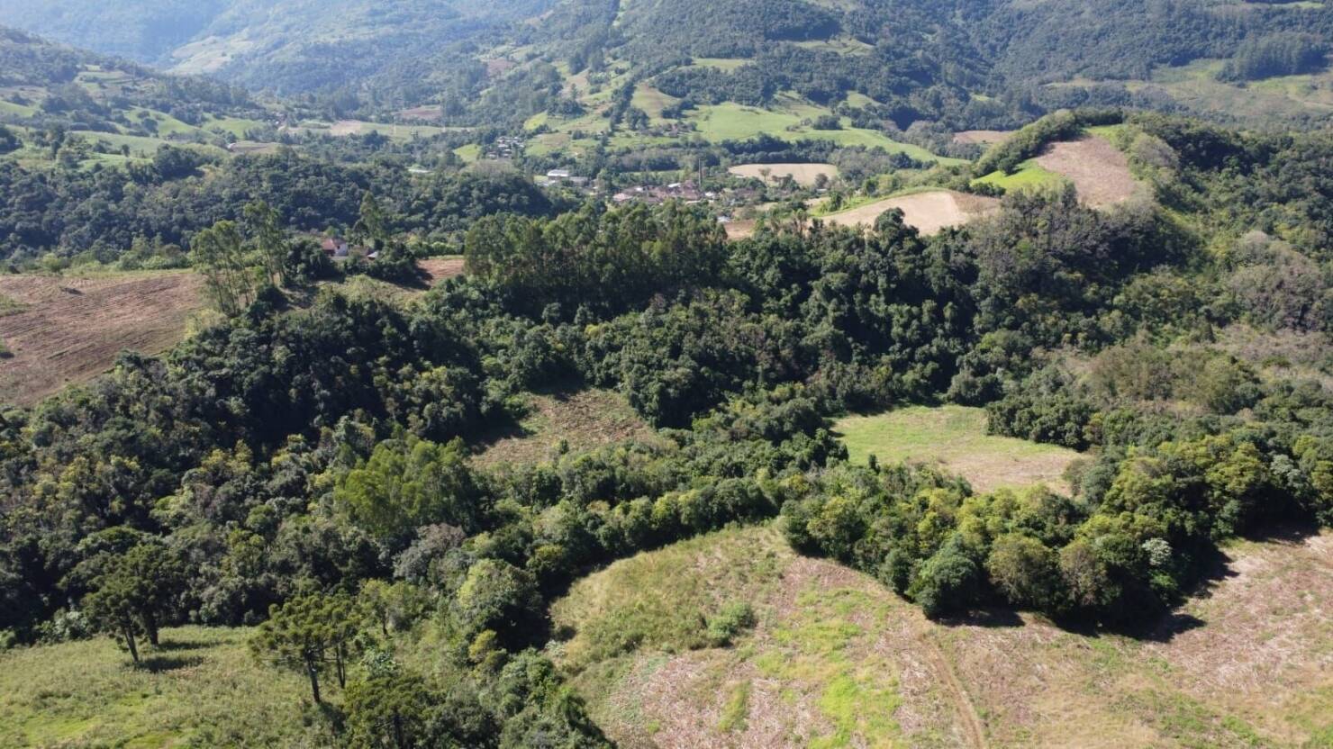 Fazenda, 20 hectares - Foto 38