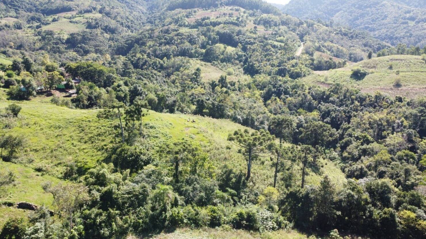 Fazenda, 20 hectares - Foto 40