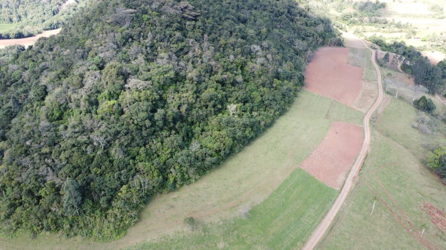 Fazenda à venda com 4 quartos, 365000m² - Foto 11