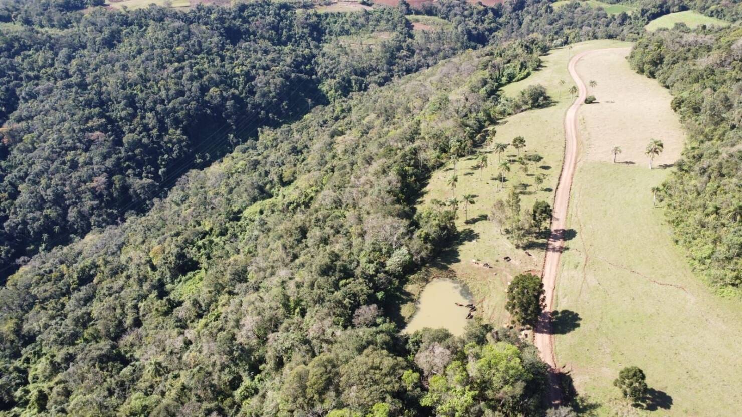 Fazenda à venda com 4 quartos, 365000m² - Foto 13