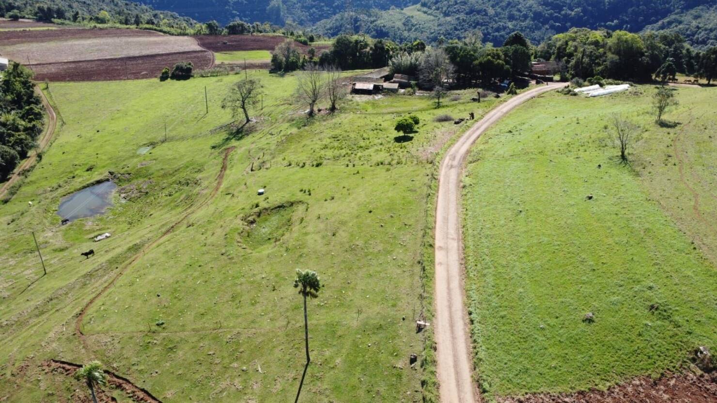 Fazenda à venda com 4 quartos, 365000m² - Foto 14