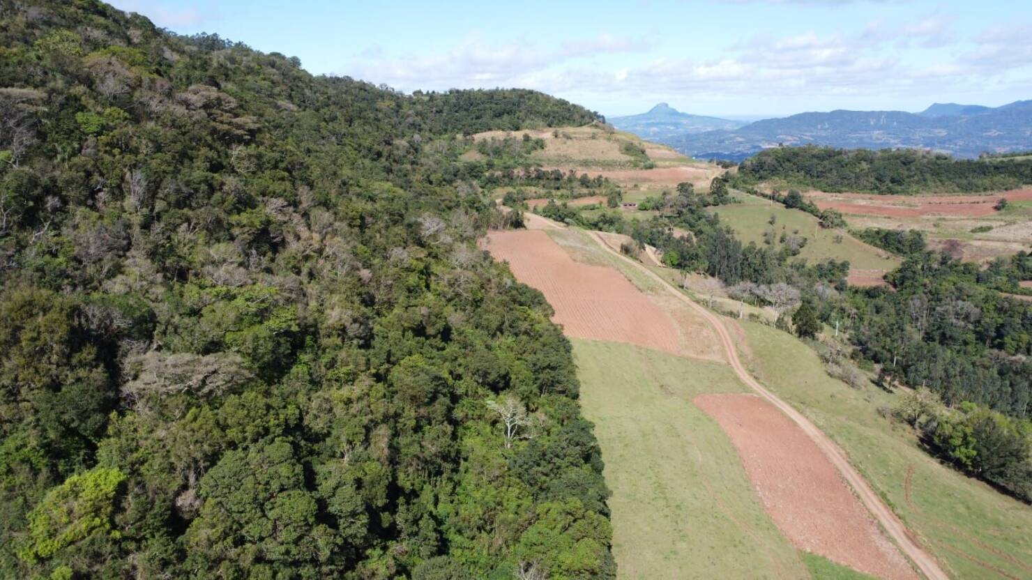 Fazenda à venda com 4 quartos, 365000m² - Foto 16