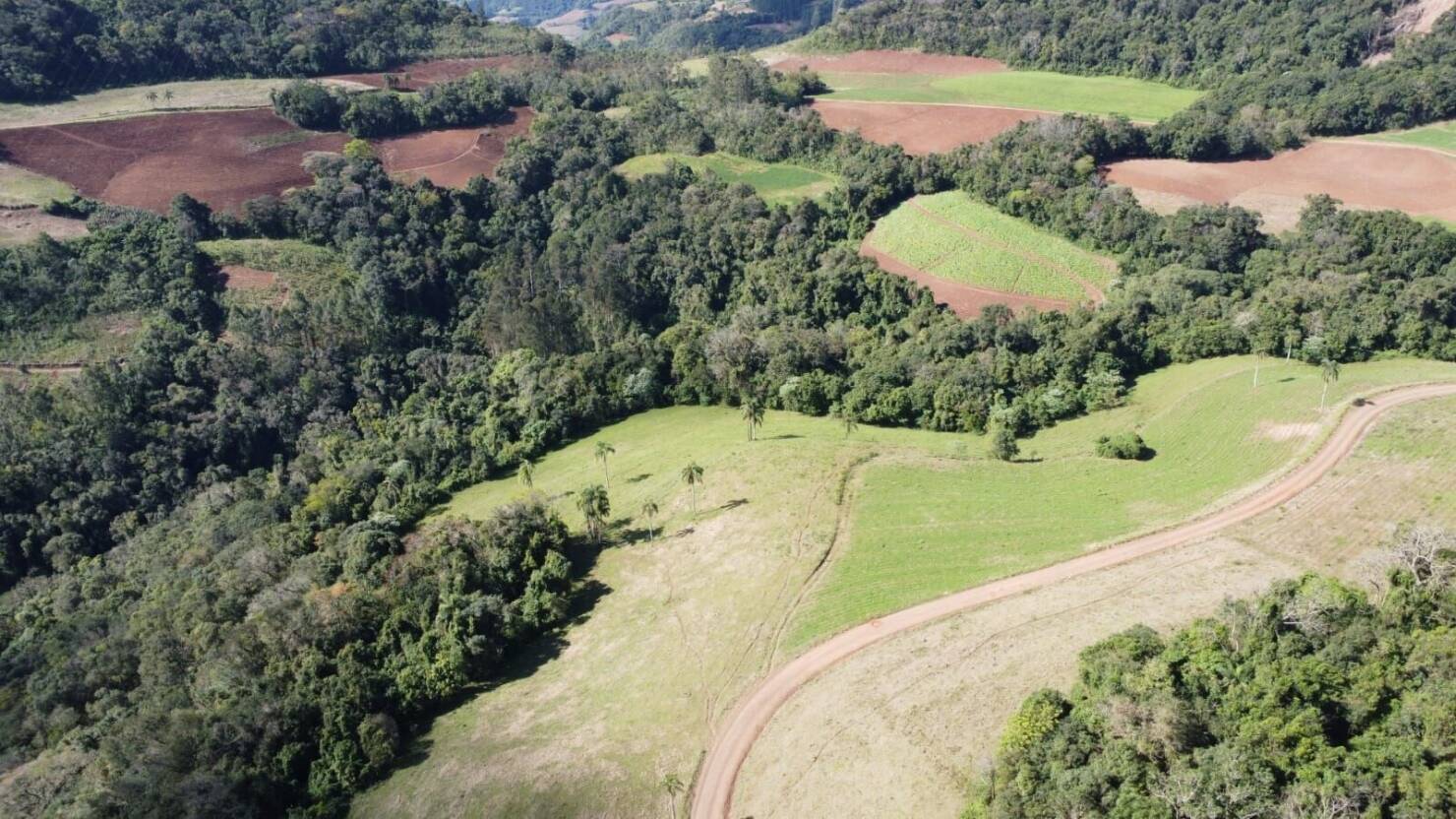 Fazenda à venda com 4 quartos, 365000m² - Foto 18
