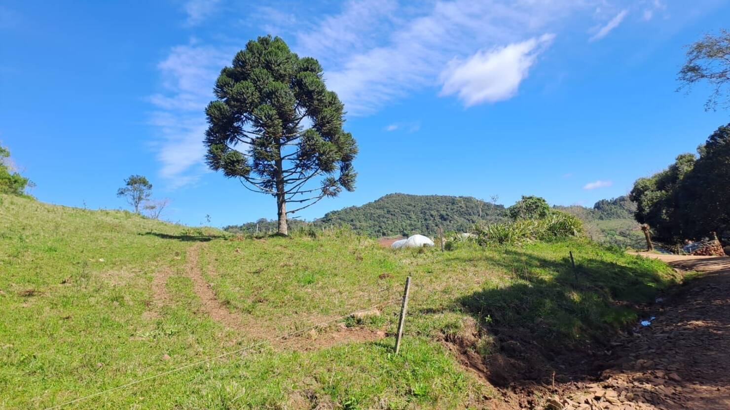 Fazenda à venda com 4 quartos, 365000m² - Foto 20