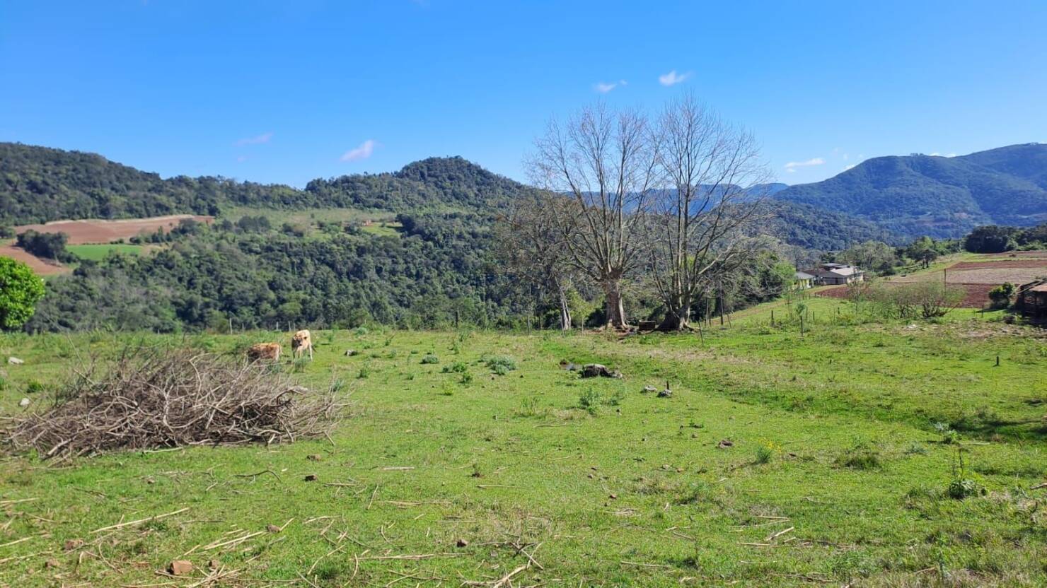 Fazenda à venda com 4 quartos, 365000m² - Foto 21
