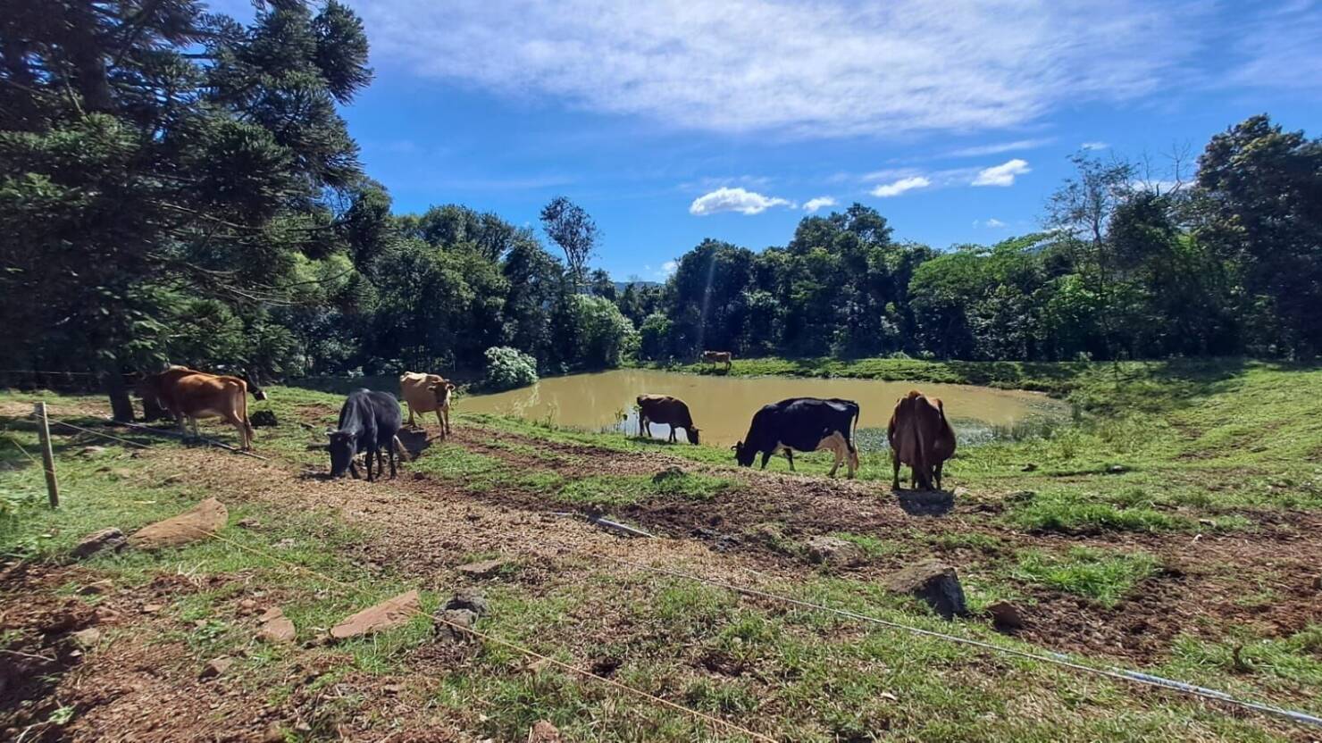 Fazenda à venda com 4 quartos, 365000m² - Foto 1