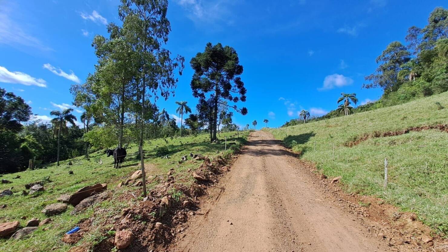 Fazenda à venda com 4 quartos, 365000m² - Foto 2