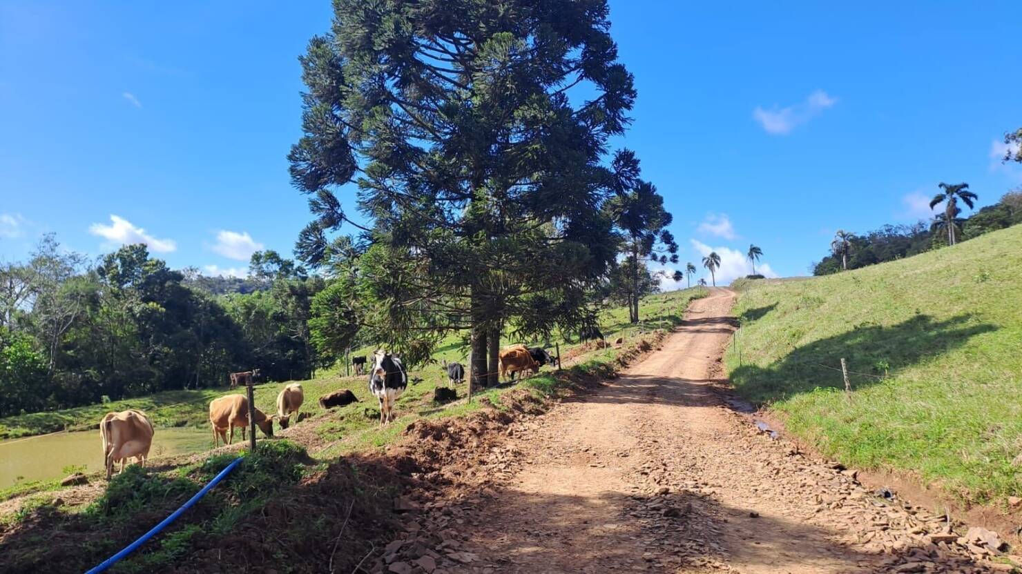Fazenda à venda com 4 quartos, 365000m² - Foto 23