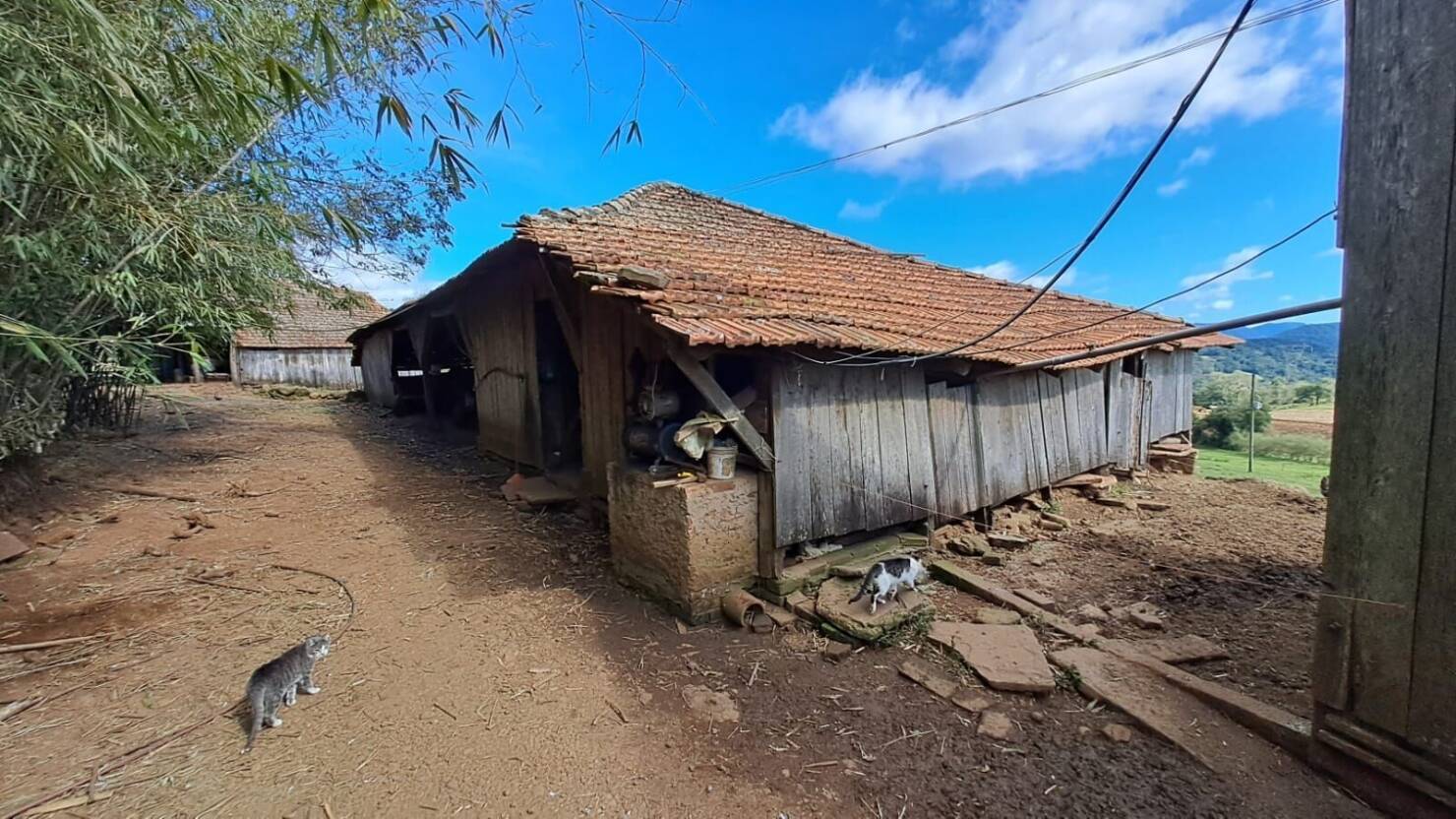 Fazenda à venda com 4 quartos, 365000m² - Foto 33