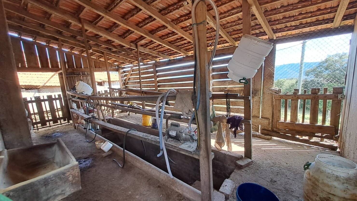 Fazenda à venda com 4 quartos, 365000m² - Foto 34