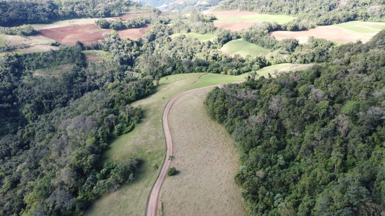 Fazenda à venda com 4 quartos, 365000m² - Foto 38
