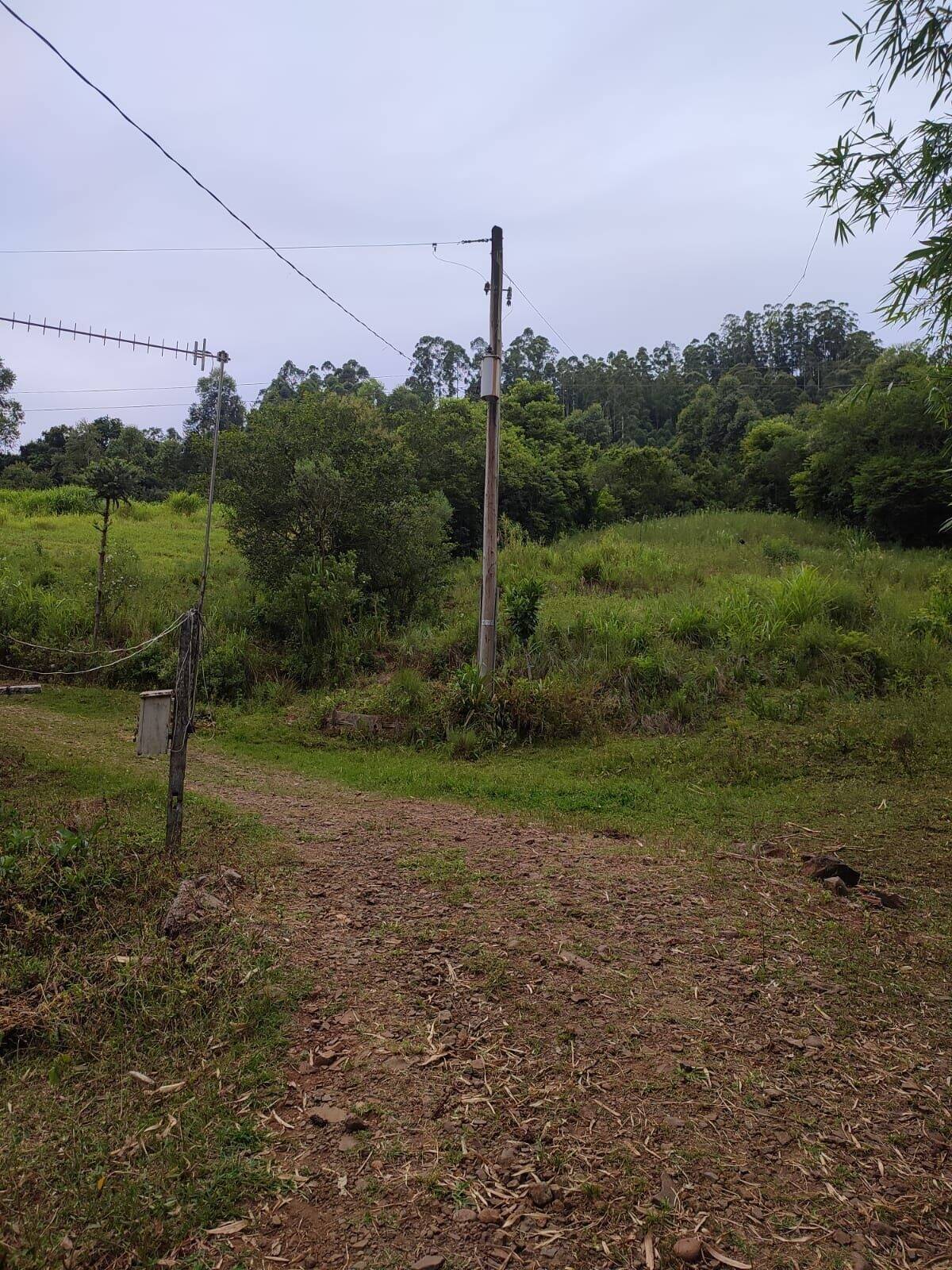Chácara à venda com 3 quartos, 200000m² - Foto 1