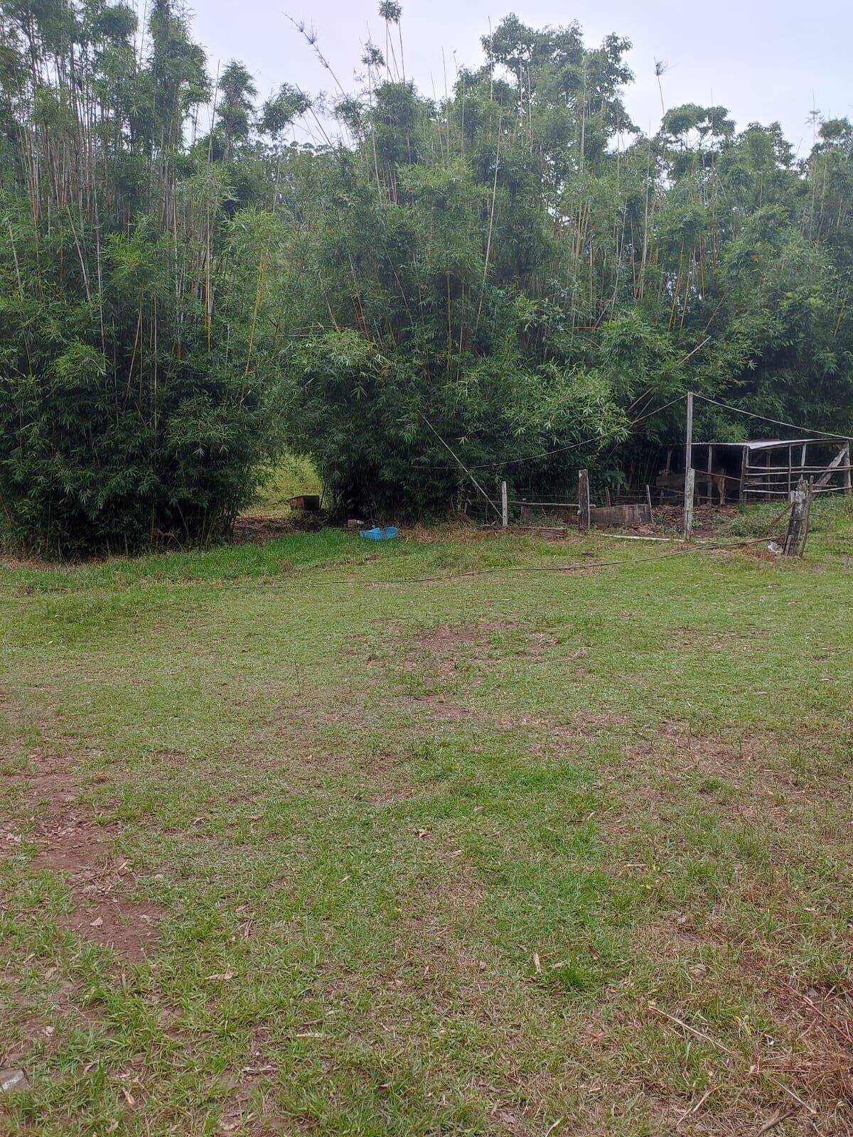 Chácara à venda com 3 quartos, 200000m² - Foto 2