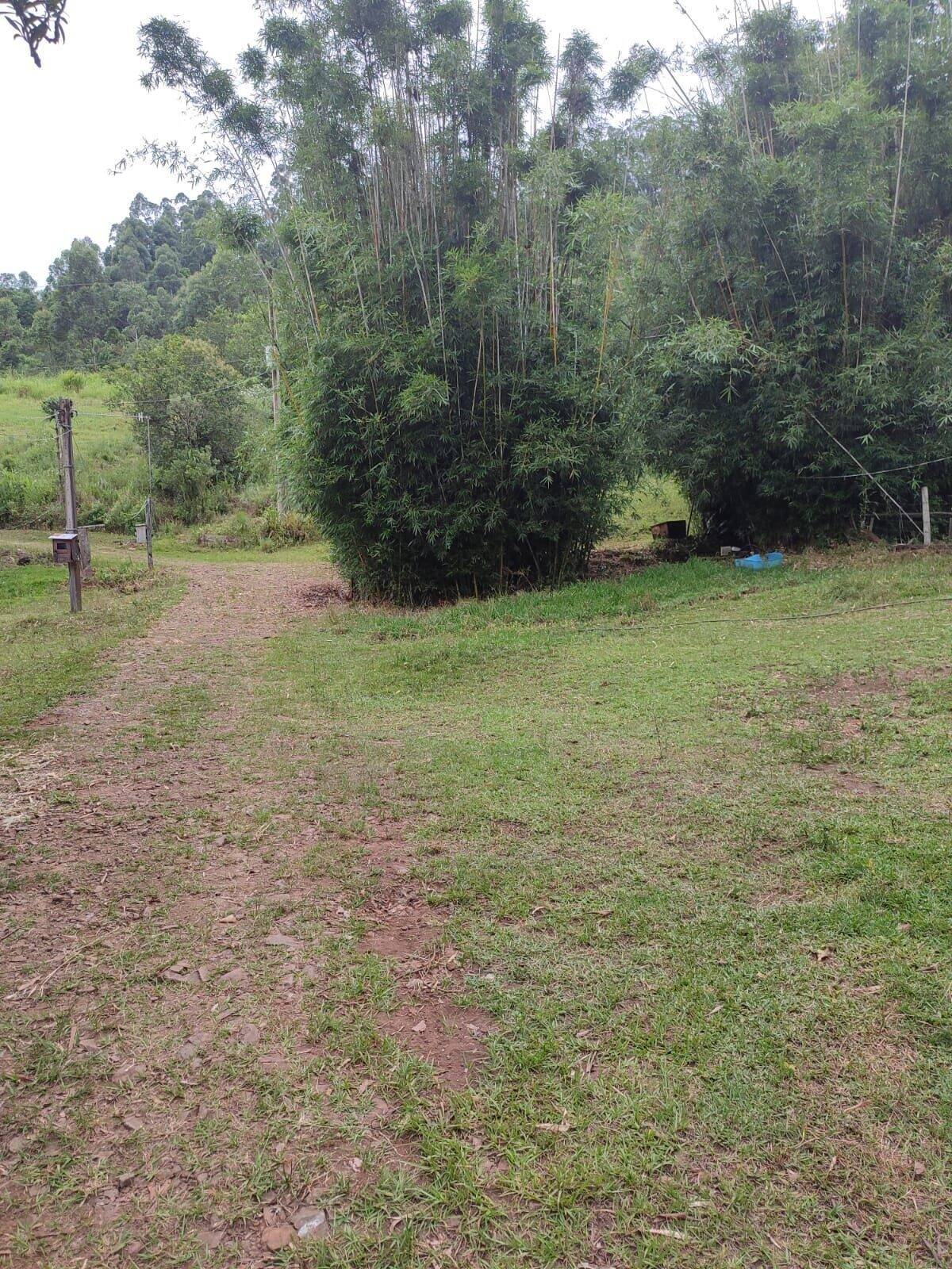 Chácara à venda com 3 quartos, 200000m² - Foto 3