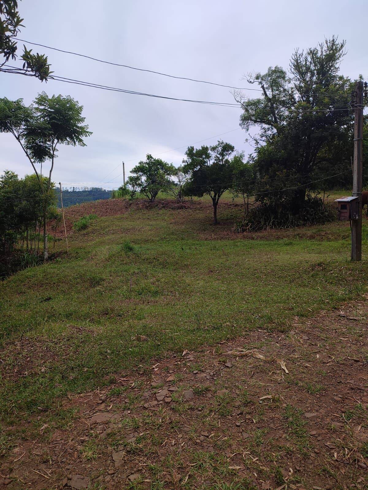 Chácara à venda com 3 quartos, 200000m² - Foto 4