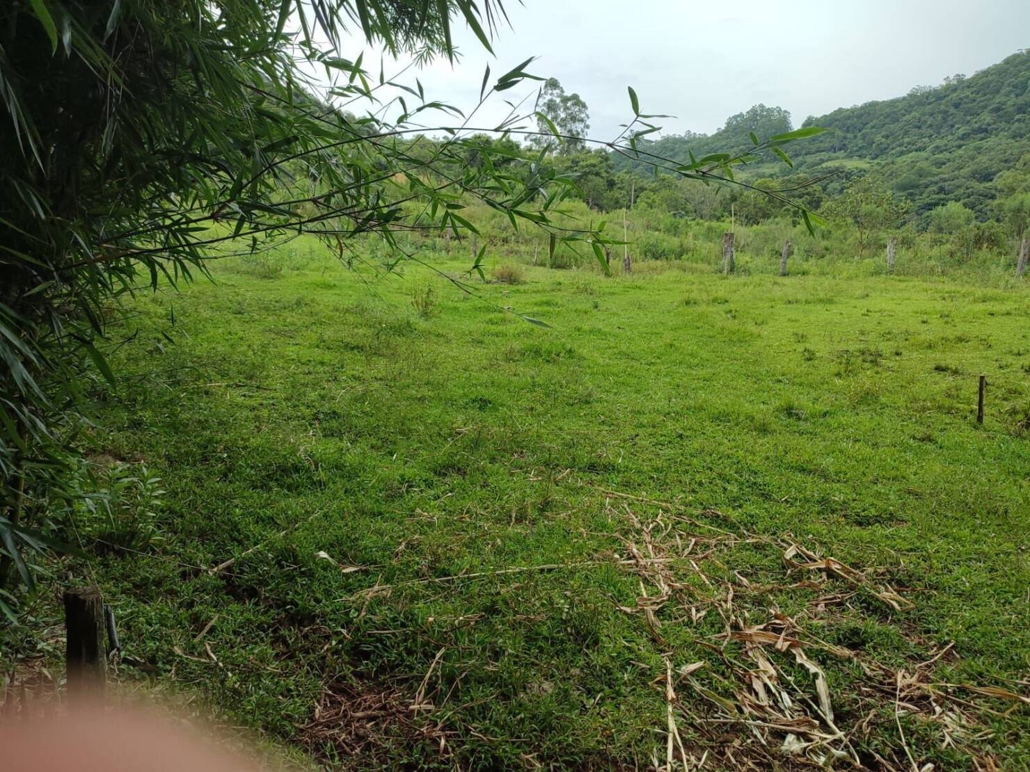 Chácara à venda com 3 quartos, 200000m² - Foto 8